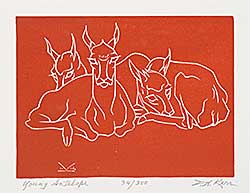 #1551 ~ Kerr - Young Antelope  #34/300