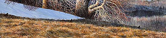 #111 ~ Bateman - Spring Robins