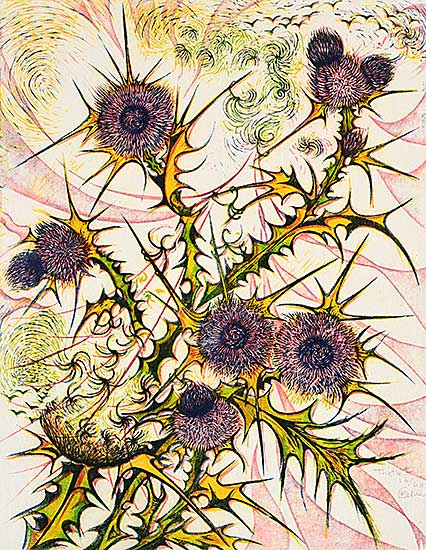 #145 ~ Calver - Thistle  #16/60