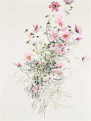 #129 ~ Bobak - Untitled - Inflorescence