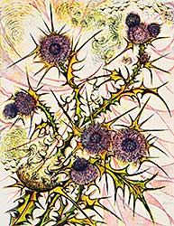 #145 ~ Calver - Thistle  #16/60