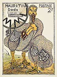 #147 ~ Calver - Dodo  #10/50