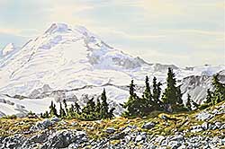 #152 ~ Camping - Mount Baker