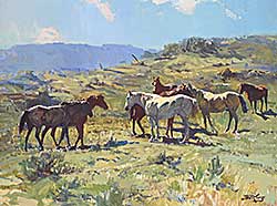 #335 ~ King - Untitled - Field of Seven