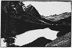 #453 ~ Phillips - Mistaya Valley [Peyto Lake]