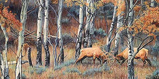 #2134 ~ Homan - Autumn Colors and Clashes
