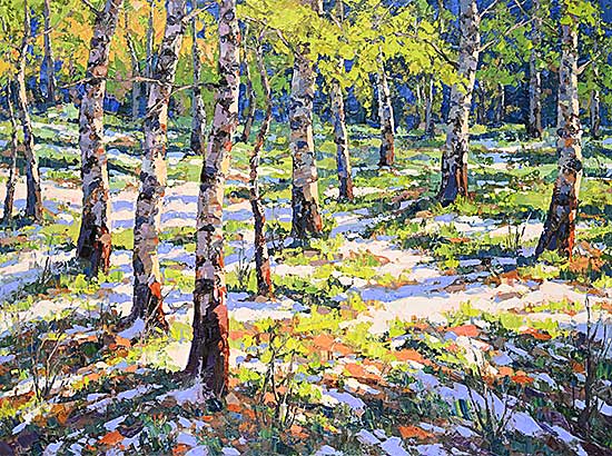 #2405 ~ Wood - Spring Forest [Above Barrier Lake, Kananaskis]