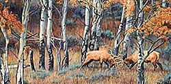 #2134 ~ Homan - Autumn Colors and Clashes