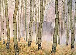 #2290 ~ Perrott - Untitled - Through the Birch Trees
