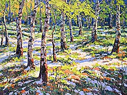 #2405 ~ Wood - Spring Forest [Above Barrier Lake, Kananaskis]