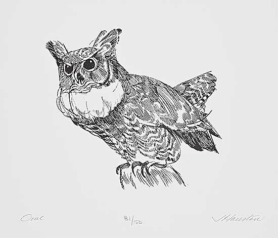 #1091 ~ Houston - Owl  #81/150 [Arctic Drawings]