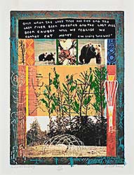 #1236 ~ Poitras - Ecosystem Hierophany  #235/450