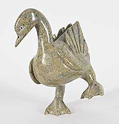 #1344 ~ Shaa - Untitled - Dancing Bird