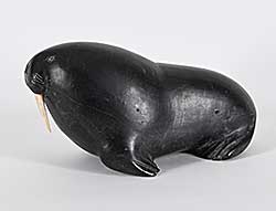#1382 ~ Tukai - Untitled - Big Black Walrus