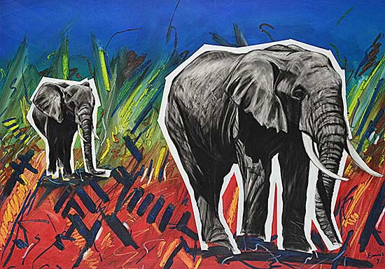 #2108 ~ Enns - 80 Pounder, Amboseli