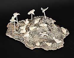 #1195 ~ Illuitok - Untitled - Birds and Seals