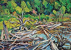 #1156 ~ Gordon - Dead Cedar / Big Porcupine Algonquin