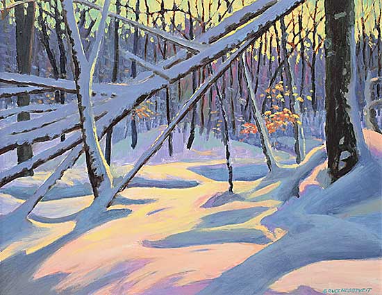 #1178 ~ Heggtveit - Winter Bush and Sunlight, Gatineau Park