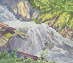 #1249 ~ Lipowski - Untitled - Little Waterfall
