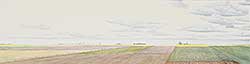 #1257 ~ MacDonald - Untitled - Prairie Panorama
