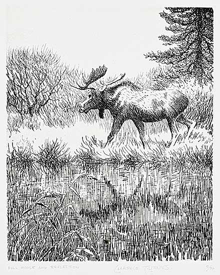 #1391 ~ Tillenius - Bull Moose and Reflection  #15/50