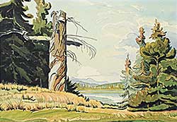 #1349 ~ Shelton - Untitled - View of the Lake