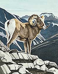 #1148 ~ Holder - Untitled - Bighorn Sheep
