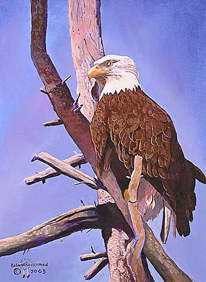 #1293 ~ Rollinmud - Untitled - Perched Eagle