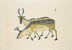 #1280 ~ Pootoogook - Young Caribou  #25/50