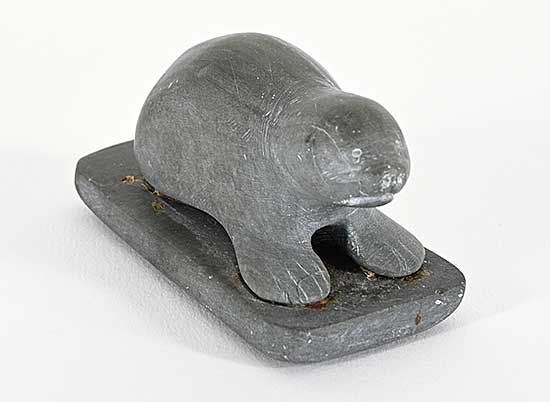 #1362 ~ School - Untitled - Tiny Seal