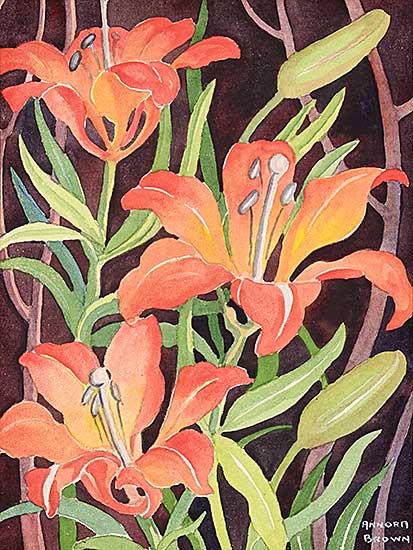 #510 ~ Brown - Untitled - Tiger Lilies