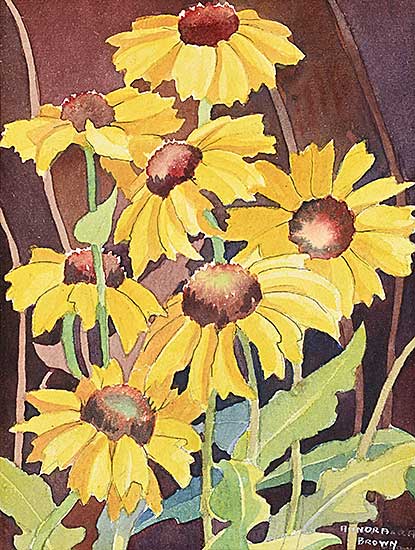 #511 ~ Brown - Untitled - Black-Eyed Susans