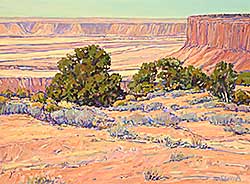 #533 ~ Duma - Overlooking the Canyon [View From the Rim]