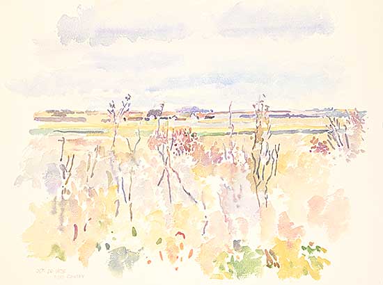 #2070 ~ Cowley - Untitled - Prairie Flora