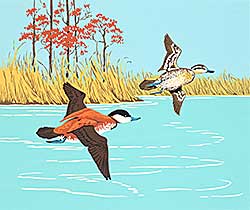 #2054 ~ Casson - Untitled - Ducks in Flight