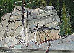 #2061 ~ Chadwick - Stumps on the Hawk River, Haliburton, Ont.