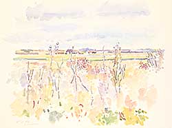 #2070 ~ Cowley - Untitled - Prairie Flora