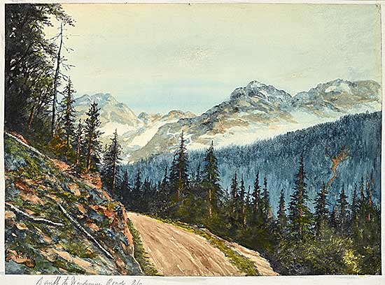 #2388 ~ Wood - Banff to Windermere Road B.C.