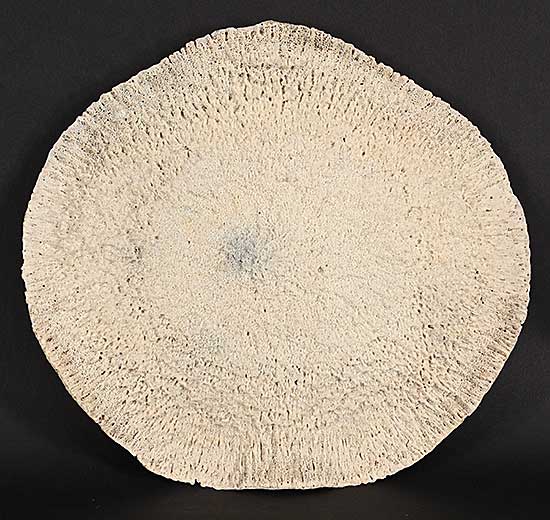 #1247 ~ School - Untitled - Whale Bone Disc