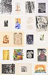 #1408 ~ School - Alberta Printmakers' Society - 10 Year Anniversary Portfolio [Incomplete]  #16