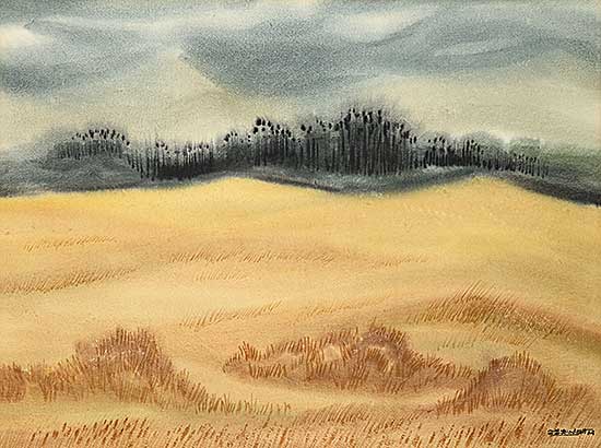 #2028 ~ Blodgett - Untitled - Prairie Storm