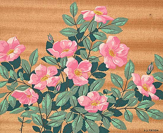 #2062 ~ Casson - Early Wild Roses