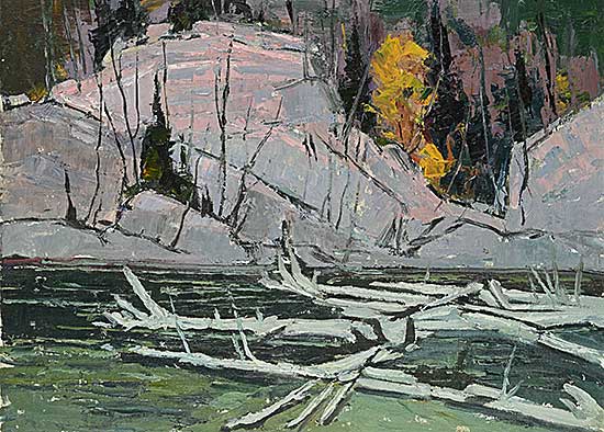#2064 ~ Chadwick - Old Logs on the Big Hawk River, Haliburton