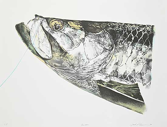 #2078 ~ Cowin - Tarpon  #T.P.