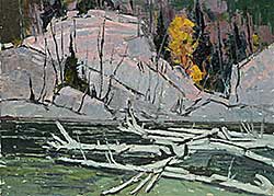 #2064 ~ Chadwick - Old Logs on the Big Hawk River, Haliburton