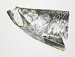 #2078 ~ Cowin - Tarpon  #T.P.