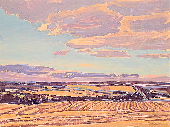 #2105 ~ Duma - Fields and Sky