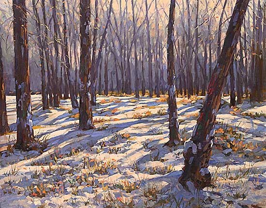 #2143 ~ Gonsalves - Snow Shadow - Burns Ranch