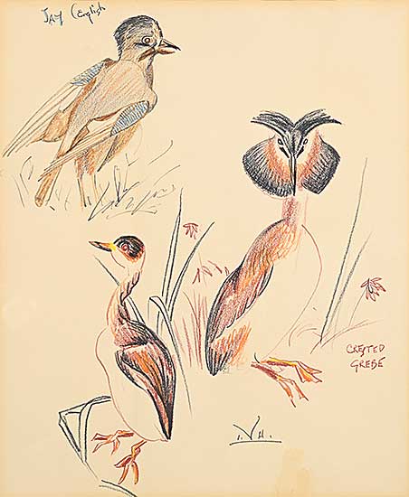 #2194 ~ Kerr - Untitled - Jay English and Crested Grebe