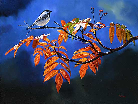 #2197 ~ Kiss - Chickadee on Mountain Ash
